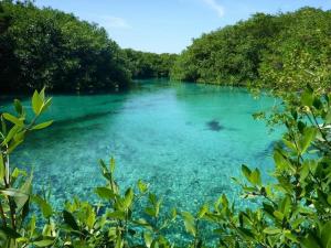 a body of water with trees in the middle at Beachfront 2BR Condo, Private Pool & Tankah Bay in Tulum