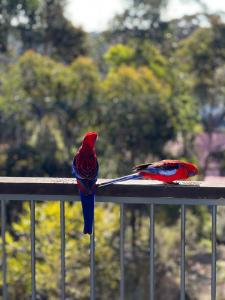 two birds sitting on the railing of a fence at Happy Mountain House in Blackheath