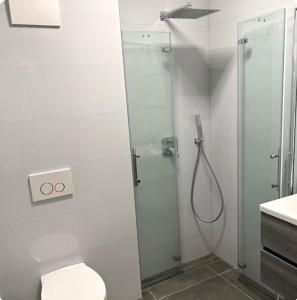 a bathroom with a shower with a toilet and a sink at Pension Boardinghaus Dingolfing in Dingolfing