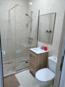 a bathroom with a shower and a toilet and a sink at Residencial Oliveira in Porto Novo +45 photos