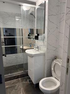 une salle de bains avec toilettes, lavabo et douche dans l'établissement Albert Studio, à Drobeta-Turnu Severin 4 autres photos