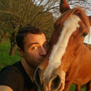 a man standing next to a brown and white horse at Casa Da Avó - Vale da Silva Villas in Albergaria-a-Velha