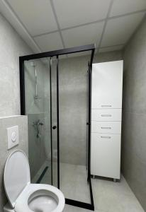 y baño con ducha y aseo. en Harmony Airport Apartment, en Skopje 8 fotos más