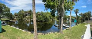a river with palm trees and a boat on it at The Teal Cottage in Crystal River +2 photos