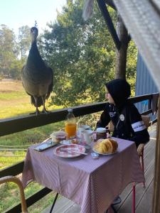 a woman sitting at a table with a chicken on a porch at Casa Da Avó - Vale da Silva Villas in Albergaria-a-Velha
