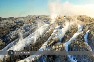 una montaña cubierta de nieve con árboles y nieve en Mountain Escape Ski-In Ski-Out Laurentians, en Saint-Faustin