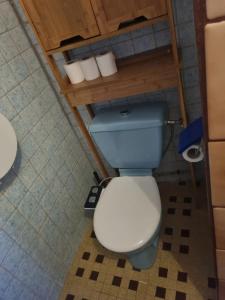 a bathroom with a blue toilet and a sink at Maison conviviale à Fort-de-France avec terrasse in Fort-de-France