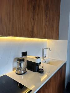 eine Küchentheke mit Spüle und Kaffeemaschine in der Unterkunft Apartman Stotka in Kopaonik