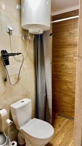 a bathroom with a white toilet and a shower at Apartament nr 4 przy Sali Kominkowej in Przeczyce +18 photos
