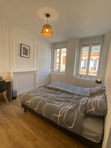 ein Schlafzimmer mit einem Bett in einem Zimmer mit zwei Fenstern in der Unterkunft la maison des copains, garage et wifi in Amiens