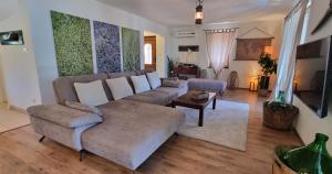 ein Wohnzimmer mit Sofa und Tisch in der Unterkunft Villa Rapkinja in Rab