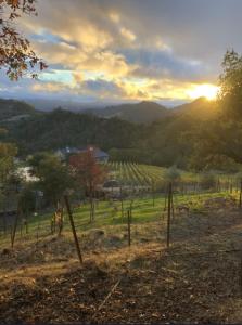 Naturlandskabet i nærheden af feriehuset