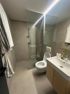 Un baño con ducha, inodoro y lavabo. en Premium Ski Retreat - Steps from Kokhta Gora, en Itʼkhvisi