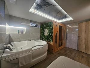 صورة لـ Apartmán King في ستارا ليسنا