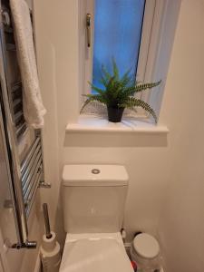 a bathroom with a toilet and a plant in a window at The Greenwood Guest Room in Brimsdown Station