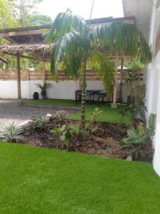 a tropical garden with a palm tree and a pergola at Bungalow in El Nido