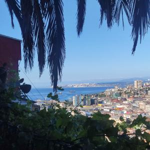 a view of a city and the ocean from a tree at Habitación en casa palmera Valparaiso in Valparaíso