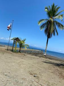 Příroda nedaleko apartmánu + 5 fotografií