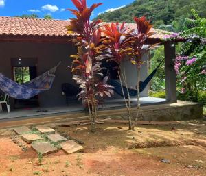 Zahrada ubytování Chalé em Pacoti + 4 fotografie