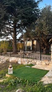 Κήπος έξω από το Sehayleh Chalet