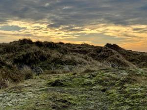 a field of grass with the sky in the background at Cozy Sauna House with BBQ - By Traum Ferienwohnungen in Fanø