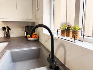 a kitchen sink with a faucet and some plants at 2 Bedroom City Centre Apartment By Travel Lets Short Term Rental Agency Derry With Free WiFi in Derry Londonderry +47 photos