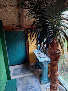 a palm tree in front of a house with a plant at Charmante Fachwerkhaushälfte mit Sauna in Rosche +4 photos