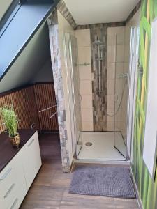 a bathroom with a shower in a attic at Charmante Fachwerkhaushälfte mit Sauna in Rosche
