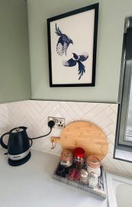 a kitchen counter with a tea kettle and birds on the wall at One bed mews in Dublin
