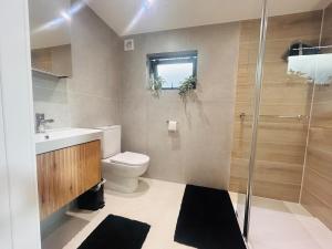 a bathroom with a toilet and a sink and a shower at One bed mews in Dublin +19 photos