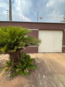 a palm tree in front of a garage at Casa da paz in Palmas
