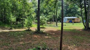 una casa in mezzo a una foresta con alberi di The Blue Cabin a Stuart
