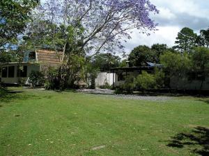 a yard with a house and a tree at Iluka Rainforest Beach Shack Eco-Home in Woombah
