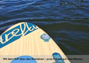 Ferienwohnungen Schwarzhof في نوهفيلدين: صورة لوح ركوب الأمواج في الماء