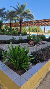 a garden with palm trees and plants on a sidewalk at Apartamento Isla de Margarita in Pampatar +3 photos