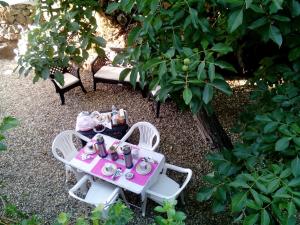 Zahrada ubytování B&B Villa Lidia