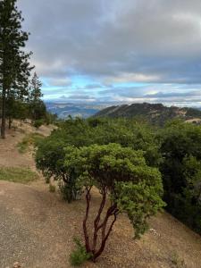 Naturlandskabet i nærheden af feriehuset + 34 billeder