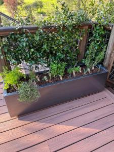 En have udenfor Old Toll Road Inn