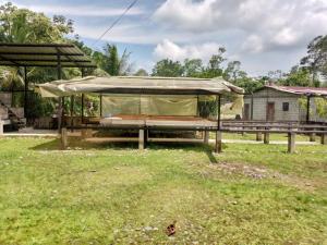 HERMOSO y amplio apartamento في إسمرالداس: خيمة على طاولة نزهة في حقل