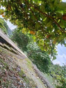 HERMOSO y amplio apartamento في إسمرالداس: اطلاله على تل به اشجار ونهر