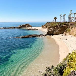 una spiaggia sabbiosa con palme e l'oceano di Beverly Hills Double Queen apart a Los Angeles