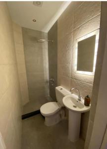 a bathroom with a white toilet and a sink at The Egyptian apartment in Cairo +2 photos