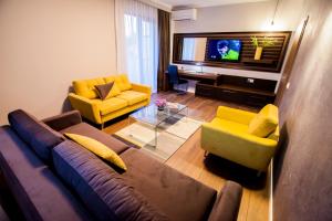 TV a/nebo společenská místnost v ubytování Cluj Business Class