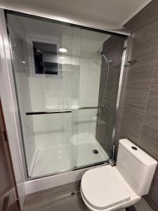 Frente a Playa Brava, Cerca Cavancha, WiFi في إكيكي: حمام مزود بمرحاض ودش زجاجي