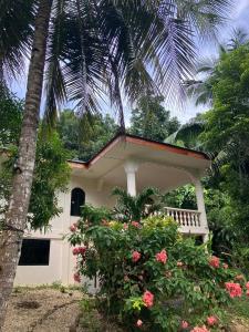 una pequeña casa blanca con una palmera y flores en Balay Lipay, en Lazi