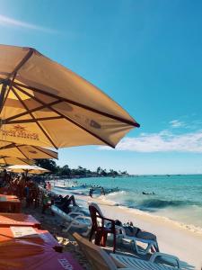 Příroda nedaleko prázdninového domu