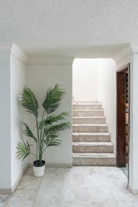 a plant in the corner of a room with stairs at Family Home with Private Pool in Guadalajara