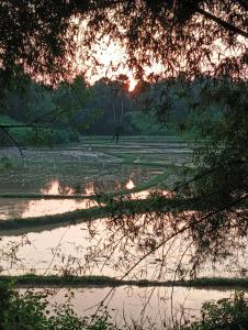 Φυσικό τοπίο κοντά σε αυτό το διαμέρισμα