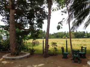 Taman di luar Man Guest Polonnaruwa