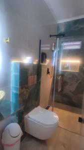 a bathroom with a white toilet and a shower at Jazmin's Apartments in Oranjestad +16 photos